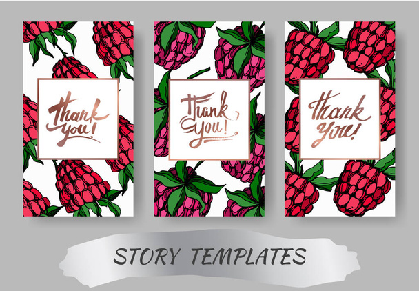 Vector Raspberry healthy food isolated. Black and white engraved ink art. Wedding background card decorative border. - Vector, Image