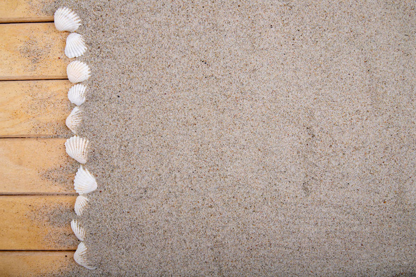 Sea shells on a wooden pier and beach sand. Empty shells of sea  - Zdjęcie, obraz