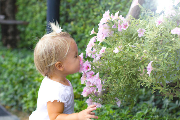 Baby smells flowers in summer - Fotoğraf, Görsel