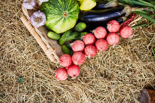 Fresh farm vegetables close up. Autumn harvest. Agricultural exhibition - Photo, Image