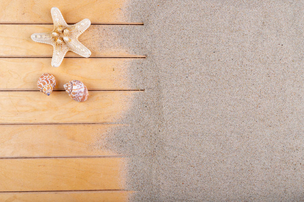 Sea shells on a wooden pier and beach sand. Empty shells of sea  - Foto, afbeelding