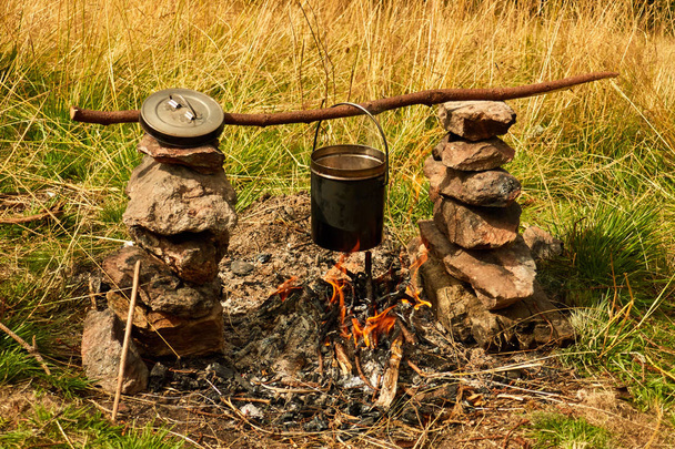 Cooking fresh mushrooms on campfire in mountain - Valokuva, kuva