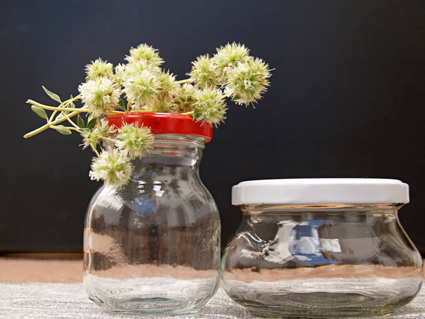 vaso de vidro com flor manjerona selvagem
 - Foto, Imagem