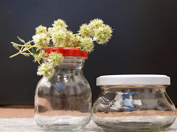 vaso de vidro com flor manjerona selvagem
 - Foto, Imagem