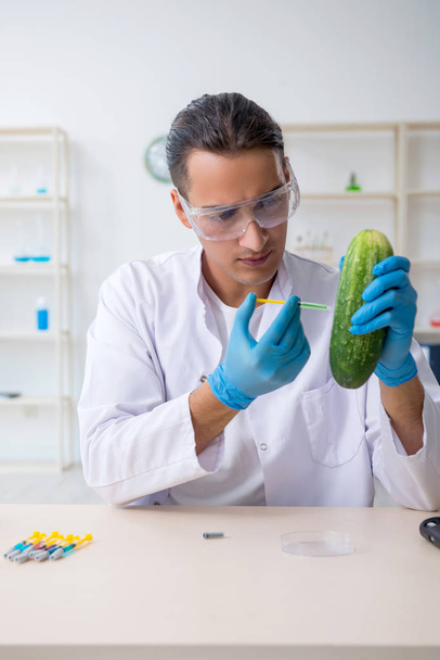 Mužská výživa expert testování zeleniny v laboratoři - Fotografie, Obrázek