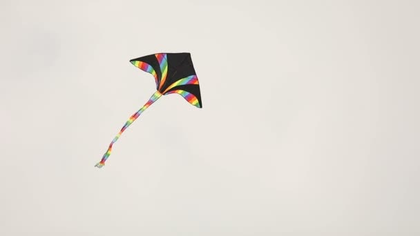 Gekleurde Kite vliegen over bewolkte hemel. - Video