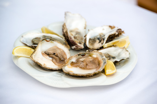 Oysters and lemon - Photo, Image