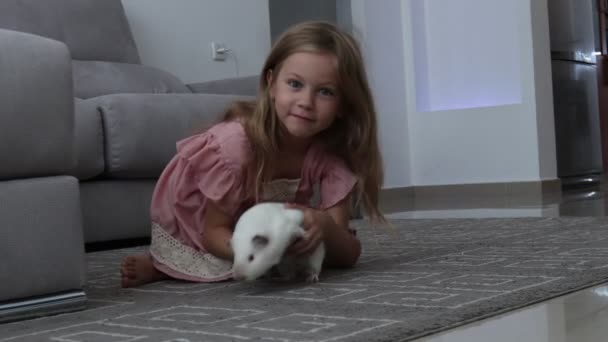 Cheerful kid holding big white domestic guinea pig - Video