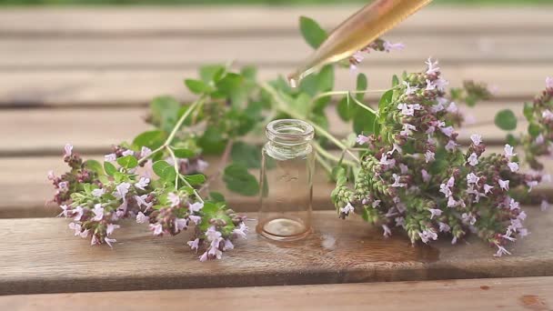 Essence of lavender flowers on table in beautiful glass Bottle - Footage, Video