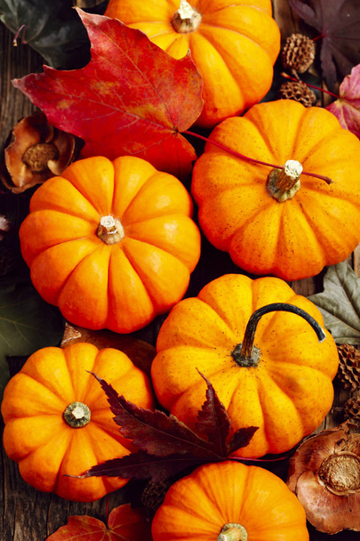 Autumn Pumpkins - Zdjęcie, obraz