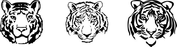 tiger vector on color background - Vector, Image