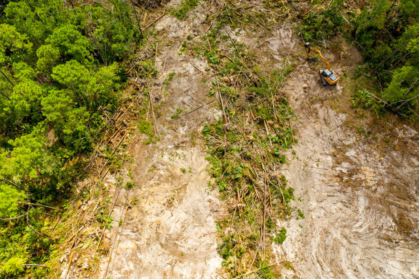 森林破壊の空中スパイショット。地面から木を引き裂くバックホウ - 写真・画像