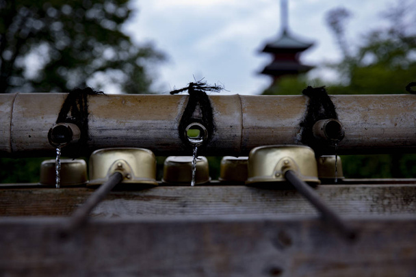 Το δοχείο εξαγνισμού στο ναό του Ικεγγκάμι χονμόντζι στο Τόκιο - Φωτογραφία, εικόνα