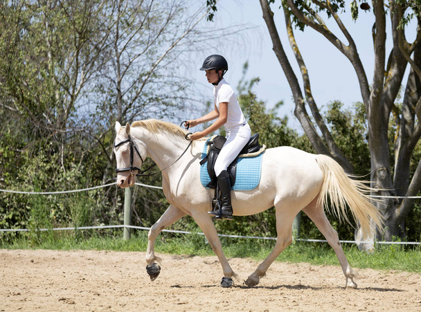 équitation fille et cheval - Photo, image