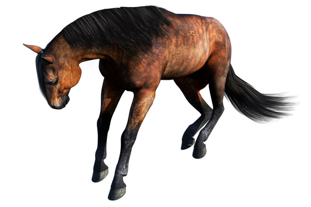 braunes Pferd, 3D-Illustration, 3D-Rendering - Foto, Bild