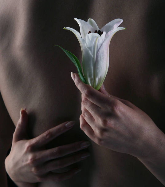 white lily in the hands - Фото, изображение
