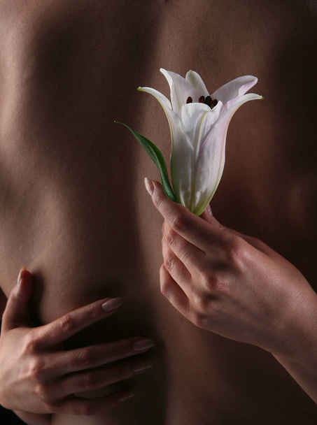 white lily in the hands - Φωτογραφία, εικόνα