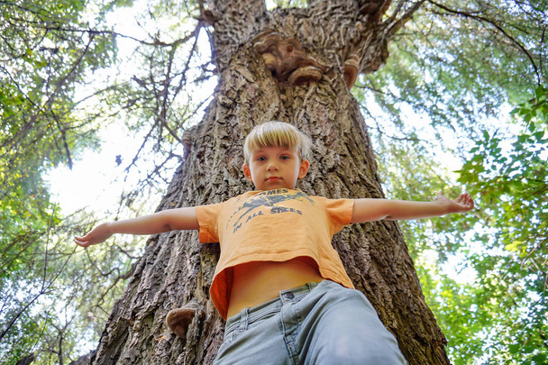 Un garçon se tient près d'un grand arbre, photo grand angle, vue d'en bas
. - Photo, image