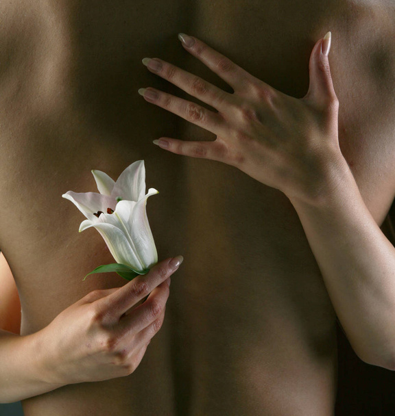 white lily in the hands - Φωτογραφία, εικόνα