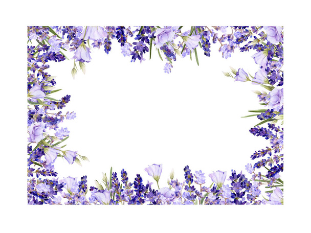 malerischer quadratischer Rahmen aus Lavendel, Blauglocken, handgezeichneten Kräutern in Aquarell isoliert auf weißem Hintergrund. - Foto, Bild