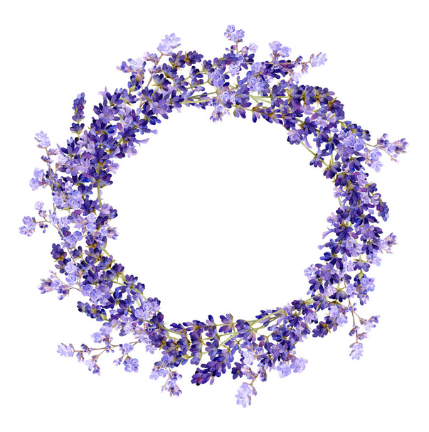 白い背景に隔離されたラベンダーの枝とライラックリモニウムの花を持つ手描きの水彩花輪.  - 写真・画像