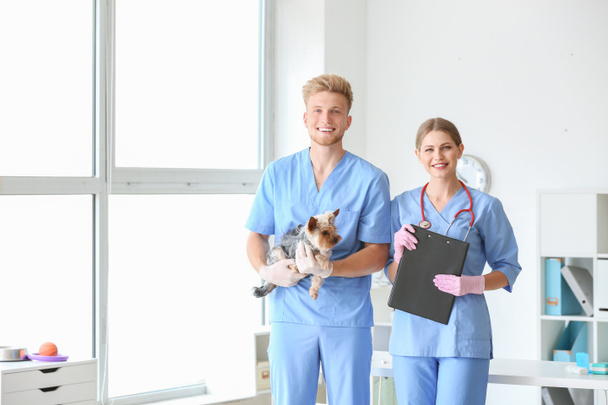 Κτηνίατροι με χαριτωμένο σκυλί στην κλινική - Φωτογραφία, εικόνα