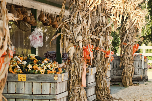 Récolte d'automne au marché en plein air
 - Photo, image