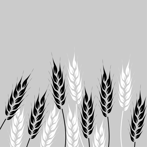 Hand drawn border with wheat ears . Black and white vector illustration. Design of postcards, posters, invitations and more. - Vector, Image