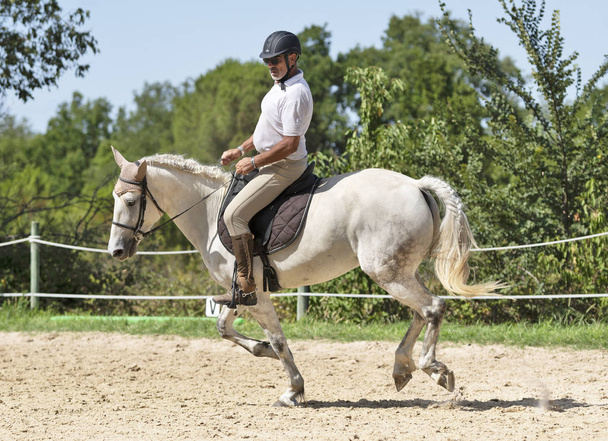 equitación hombre y caballo
 - Foto, Imagen