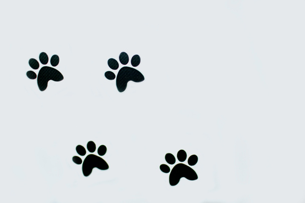 Macska vagy kutya mancs varrat nélküli minta-állat lábnyom textúra. - Fotó, kép