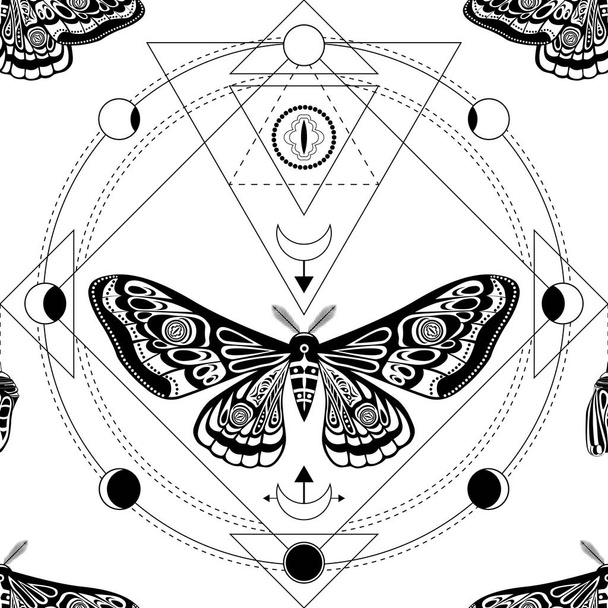 Night moth, butterfly pupa. Sacred geometry, esoteric. - Vetor, Imagem