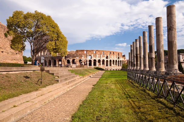 Coliseo y venus templo columnas camino y árbol vista desde romana
 - Foto, imagen