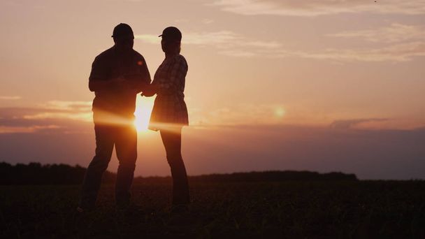 Dwaj rolnicy pracują w terenie wieczorem o zachodzie słońca. Mężczyzna i kobieta omawiają coś, używają tabletu. - Zdjęcie, obraz