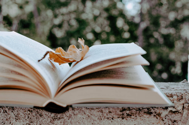 Ανοιχτό βιβλίο με ένα φύλλο του φθινοπώρου σε πράσινο φόντο - Φωτογραφία, εικόνα
