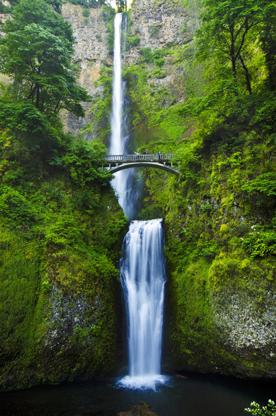The beautiful multinomah falls - Photo, Image