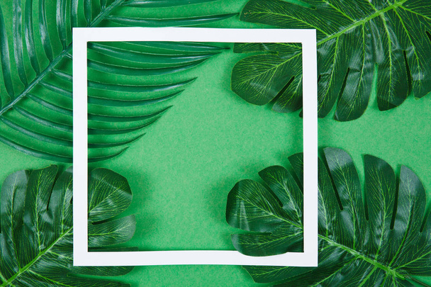 Hojas de palma verde sobre fondo de color
 - Foto, imagen