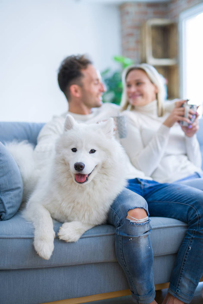junges schönes Paar mit Hund sitzt auf dem Sofa und trinkt Kaffee im neuen Zuhause um Kartons herum - Foto, Bild