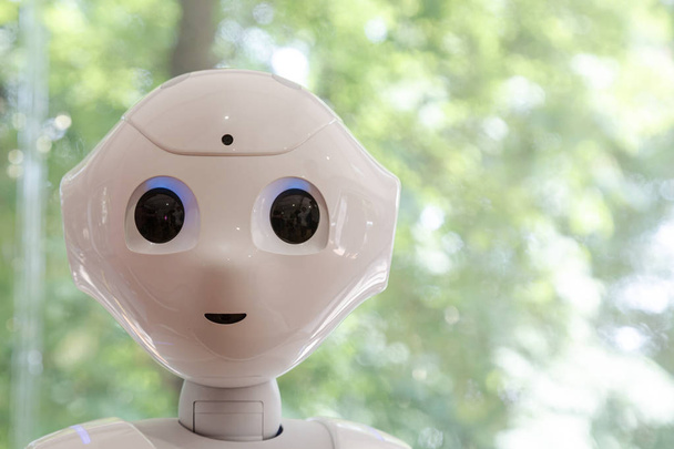 Robots at Wired Next Fest 2019 in Milan, Italy - Φωτογραφία, εικόνα