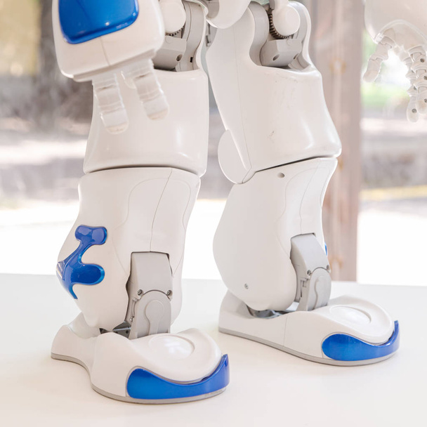 Nao robot at Wired Next Fest 2019 in Milan, Italy - Φωτογραφία, εικόνα