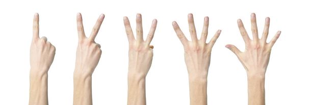 mains humaines montrant les numéros un à cinq
 - Photo, image