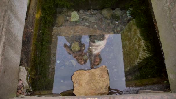 Молодая влюбленная пара бросает монету в водный колодец в парке
 - Кадры, видео