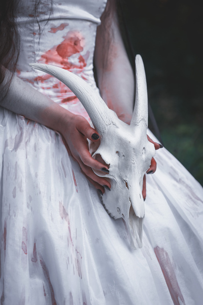 Cráneo de animal en espeluznantes manos de novia. Concepto Halloween
  - Foto, Imagen