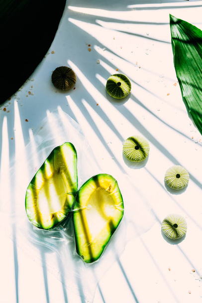 Abacate em um saco de plástico, vaccum selado, em uma placa branca com planta tropical, e sombra dura, com conchas do ouriço do mar verde
 - Foto, Imagem