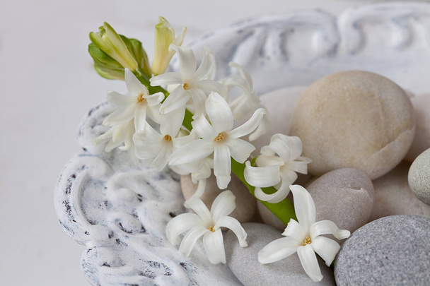 Still Life With Little White Spring Flowers - Foto, afbeelding