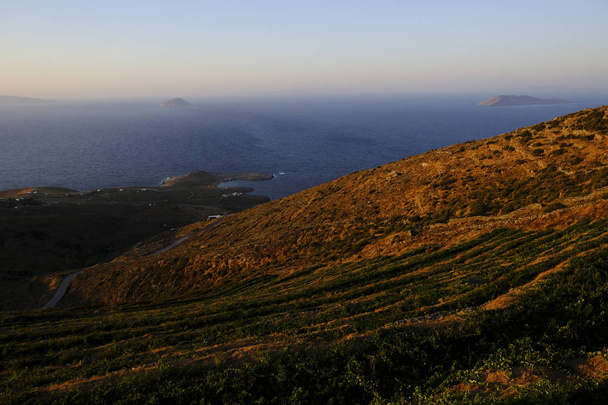 Виноградник на заході сонця в Серіфос-Айленд в Греції на 13 серпня 2019. - Фото, зображення