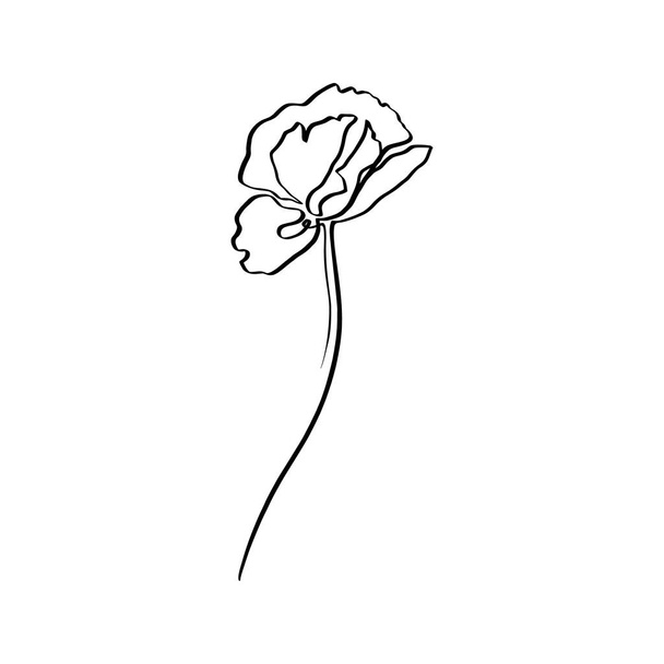 Poppy Flower Is One Line Art. Vector abstract contour drawing floral in a Trendy Minimalist Style. - Vector, Image