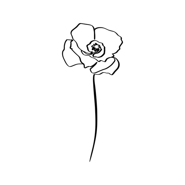 Poppy Flower Is One Line Art. Vector abstract Plant in a Trendy Minimalist Style. - Vector, Image