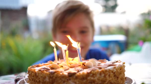 the child blows out the candles on the cake on his birthday. Childrens holiday - Filmati, video