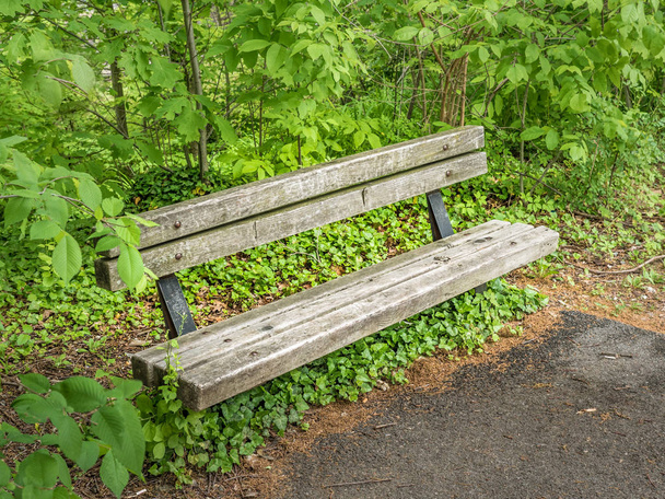 A wood and steel park bench at the end of a black top paved pedestrian trail with lush leaves and foliage from trees. - Fotoğraf, Görsel