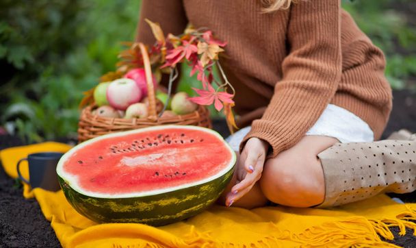 Woman with a ripe watermelon in a picnic. Autumn harvest. Autumn concept - Foto, Imagen